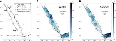 A Lagrangian model-based physical connectivity atlas of the Red Sea coral reefs